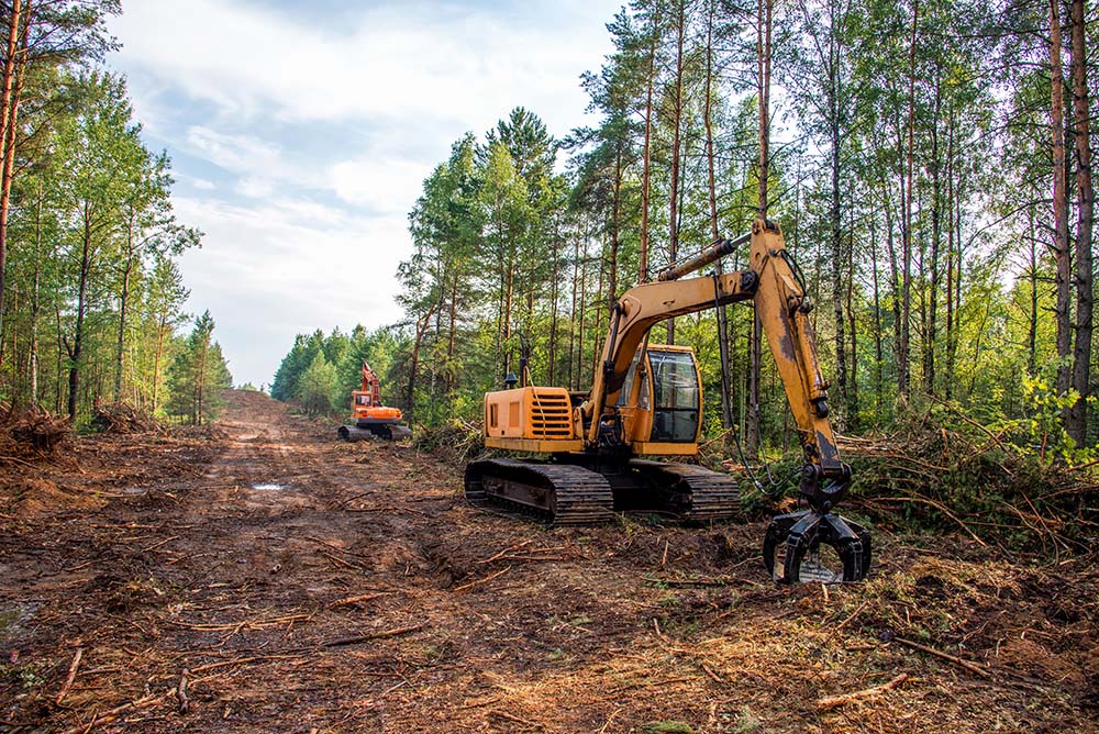Machinery for tree clearing clears property before develooment.